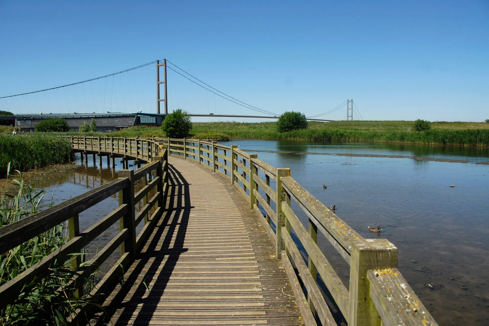 The wooden boardwalk at Waters' Edge Country Park, Barton-upon-Humber, with the Humber Bridge in the background