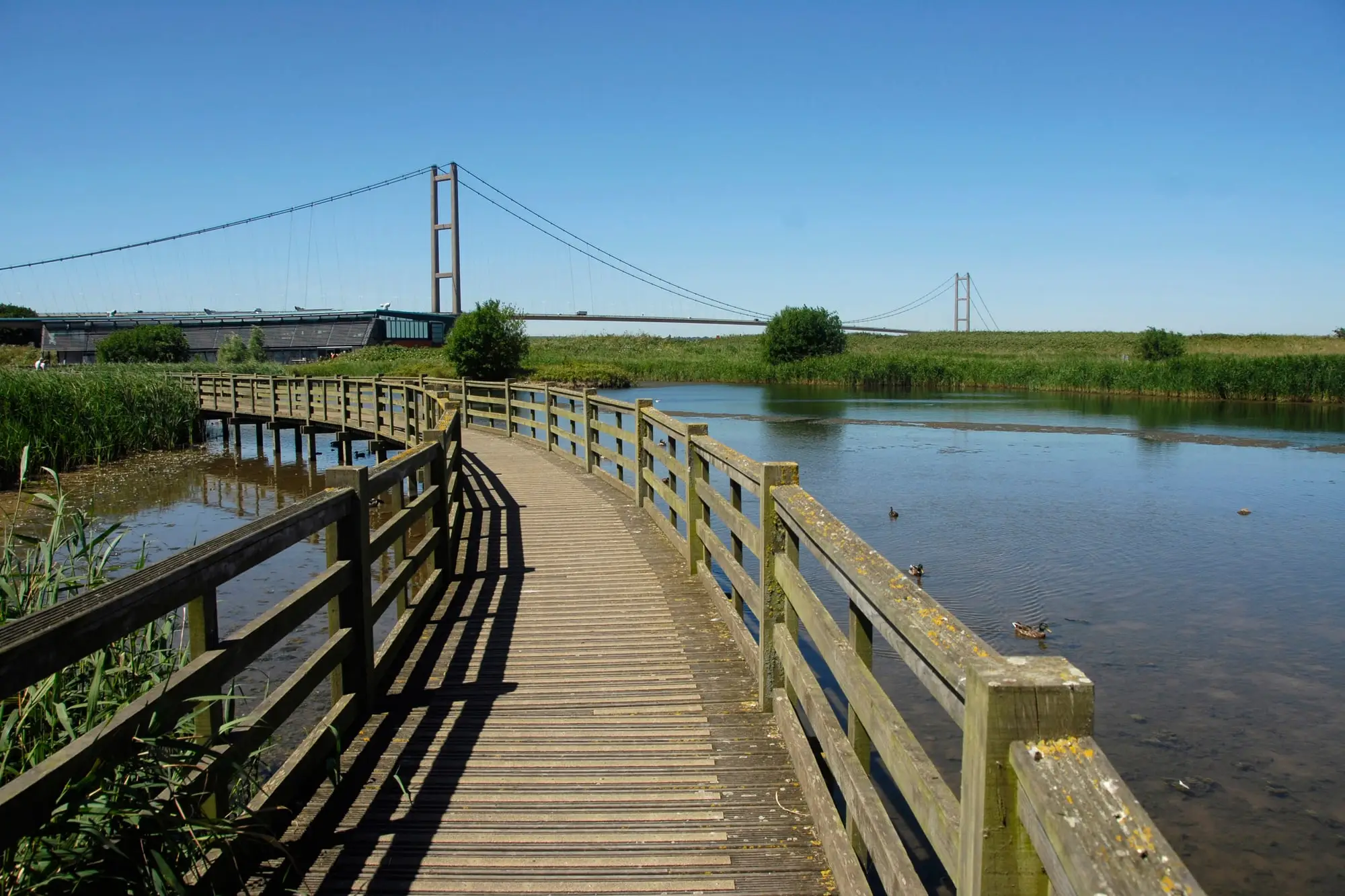 The wooden boardwalk at Waters' Edge Country Park, Barton-upon-Humber, with the Humber Bridge in the background